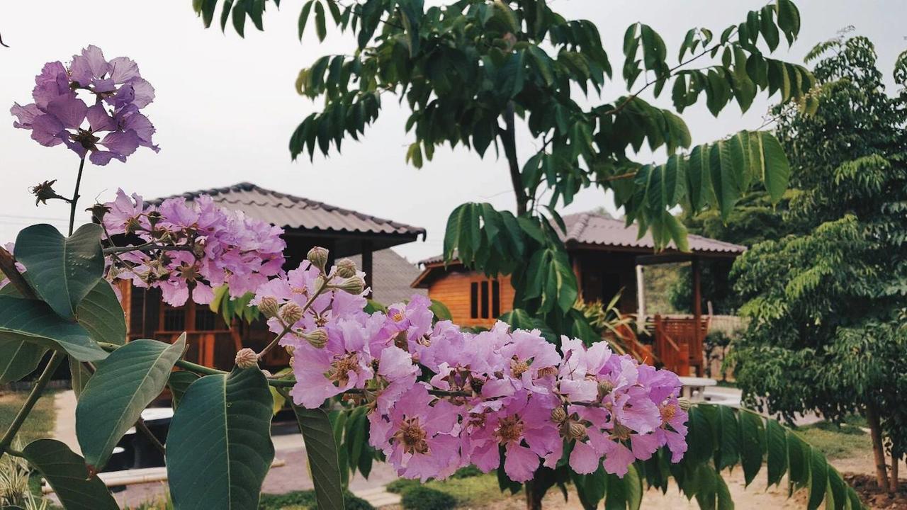 บ้านสวนมีดี ลำพูน Meedee Homestay Lamphun Ban Nong Pla Kho Exteriör bild