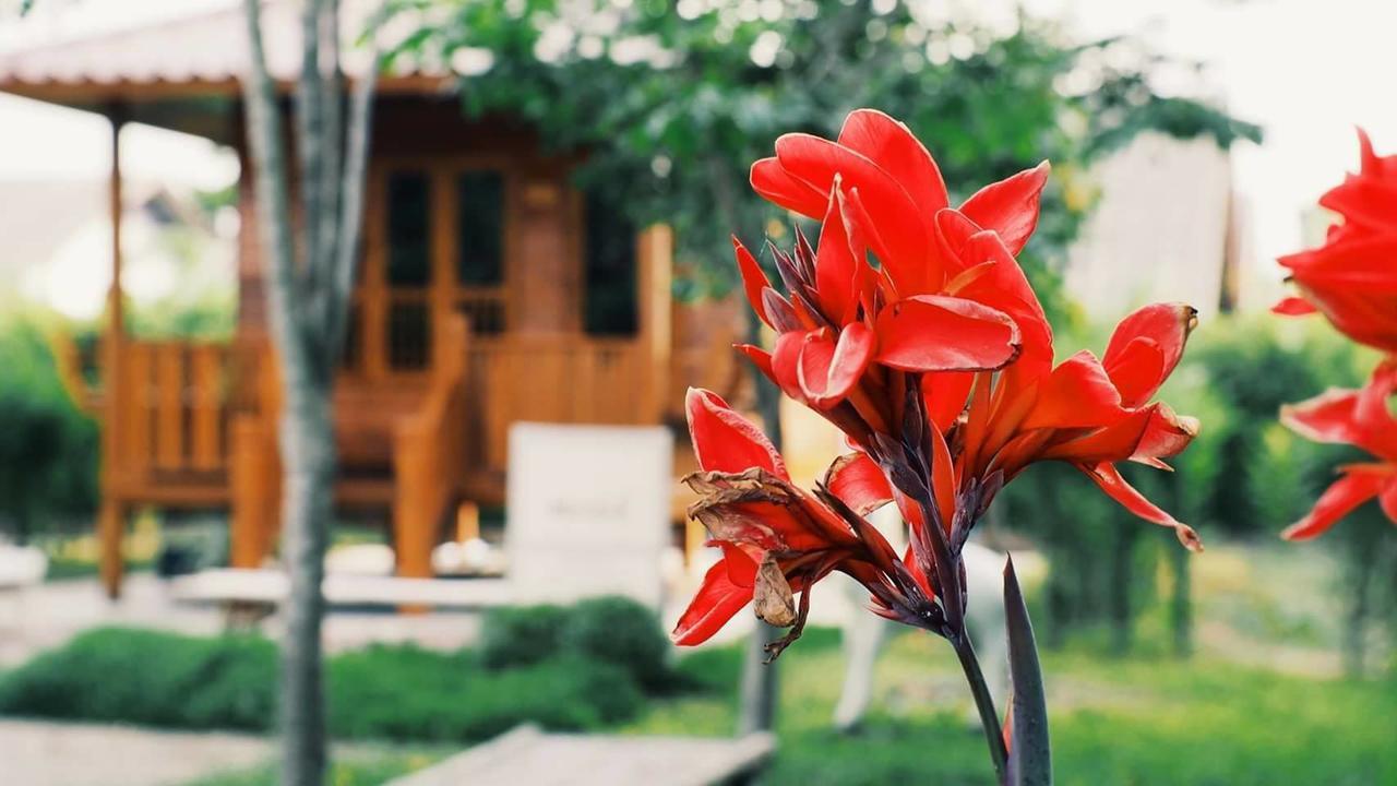 บ้านสวนมีดี ลำพูน Meedee Homestay Lamphun Ban Nong Pla Kho Exteriör bild